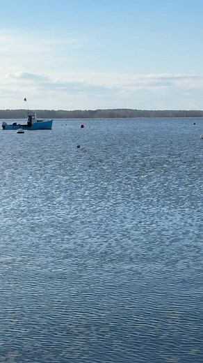 33 reactions · 3 comments | Seabrook, New Hampshire and a day at the harbor. #seabrooknh #hamptonbeachnh #nhseacoast | Stephen Rideout | Facebook