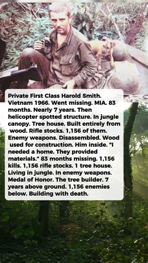 1 Soldier Was Listed MIA for 83 Months. They Found His Tree House Built From 1,156 Enemy Rifle