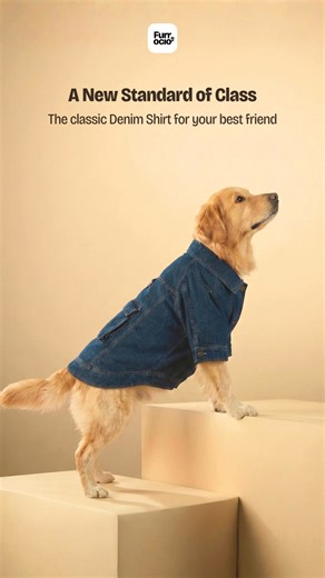 POV: Your dog has better style than most humans. 💅✨ Give them the confidence boost they deserve. Our premium Denim Jacket is tailored for comfort and serious swagger. 🤩 Free Shipping Cash on Delivery ↩️ 7 Days to Return and Exchange, No Worries 🤔 Size confusion? WhatsApp us 📲 for help!" | Furrocio