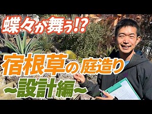 【設計編】宿根草の庭造りの仕方をプロが伝授します！【園芸チャンネル】