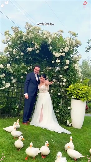 Heartwarming Wedding Surprise with a Special Guest