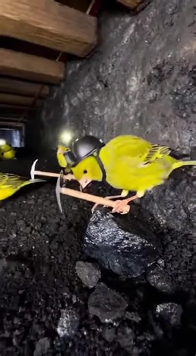 Discover the Fascinating Life of Sparrows