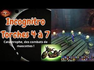 Incognitro : Torches 4 à 7, guide complet !