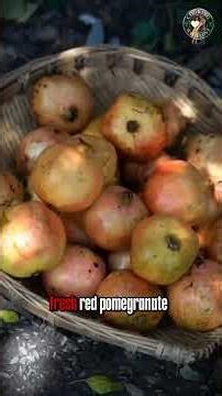 Amazing Green Jelly Recipe | Sweet & Spicy Twist | Follow for More Videos