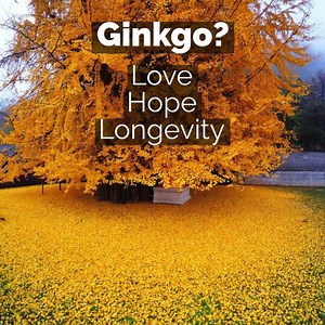 14K views · 420 reactions | The Living Urn on Reels | Facebook