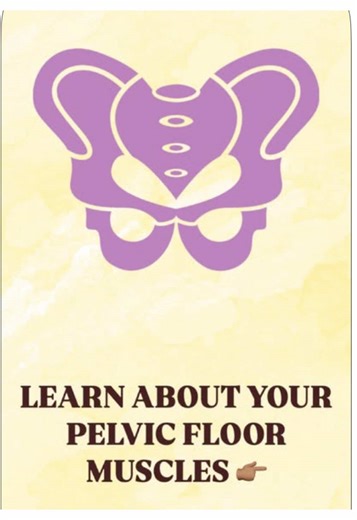What in the world are your pelvic floor muscles anyway? They are a group of muscles at the base of your pelvis that support your bladder, uterus, and rectum. They're key for things like peeing, pooping, posture, and even sex. Pelvic floor health matters at every age and stage of life! Save this for later and follow for more tips to take care of your body from the inside out. #pelvichealth #pelvicfloorphysicaltherapy #womenshealth #postpartumrecovery #pelvicfloor