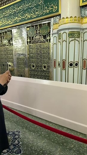 Mohmed Fekry على TikTok