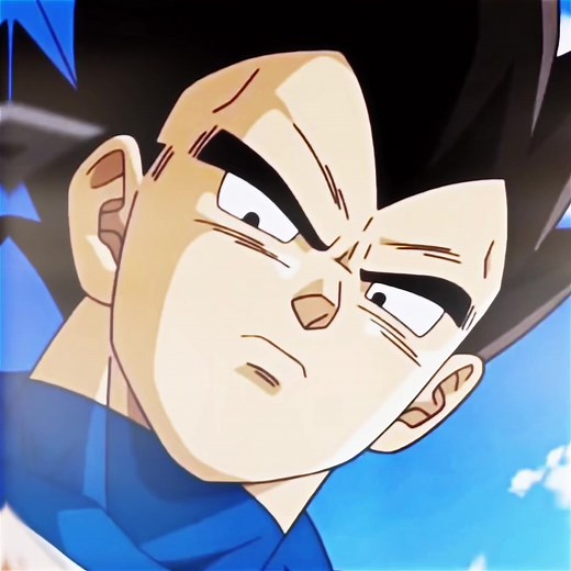 Dragon Ball Goku and Vegeta Perfect Moments Compilation