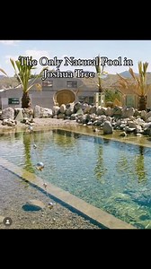 Kaleidoscope Desert | Come stay at Kaleidoscope Desert. The only natural pool and free roam animal sanctuary in Joshua Tree. Also featuring multiple hot tubs,... | Instagram