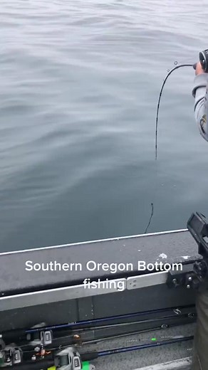 Ocean Fishing for Rockfish and Lingcod #f #fyp #foryoupage #foryou #oregon #ocean #food #youtube #summer #nature #blairsguideservice | Blair’s Guide Service