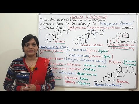 Steroids and Triterpenoids (Part 01) | Introduction to Steroids | Types of Steroids with Examples