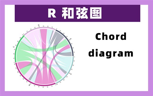【R Studio作图】和弦图 chord diagram/径向网络图/弦图