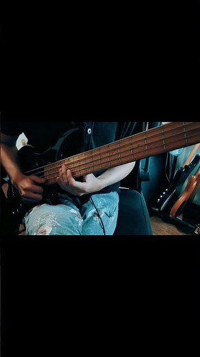 The Vanished People - IT'S GOING DOWN bass cover