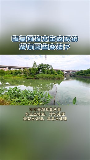 恢复河流水生态系统都有哪些办法？河道治理方案,河道治理咨询,河道治理报价