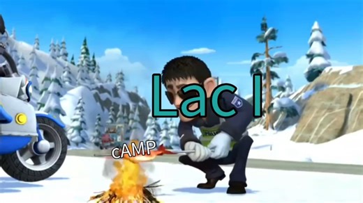 糖类和乳糖操纵子的关系belike：