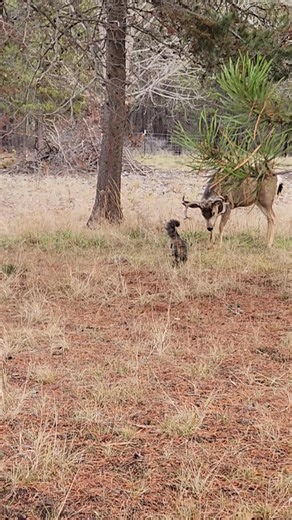 Eric Larson on Reels