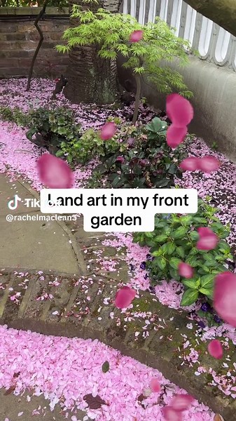 #cherry #blossom #spring #landart