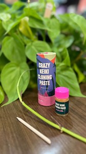 Breaking down Keiki paste. We have recently started carrying this in the store and have gotten a ton of questions wondering what it is and how it works! This is a general breakdown of the process. If you want more videos going into details of products for plants, drop them in the comments or send us a message! 🌱 | Emerald Design