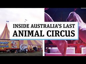Inside the Stardust Circus, Australia's last animal circus