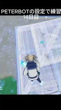 PETERBOTの設定で練習14日目