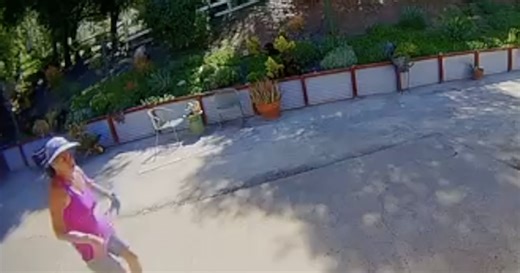 Alpine woman hospitalized after rattlesnake bite causes rare, severe reaction