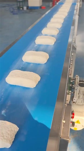 Automatic dough extruder and cutter machine #cookie extruder machine #cookies equipment