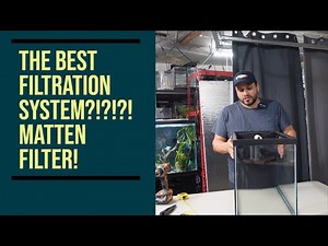 THE BEST Aquarium Filtration System! Matten Filter