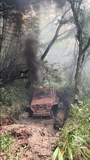 Troller Cummins 6BT 💪🏻💪🏻