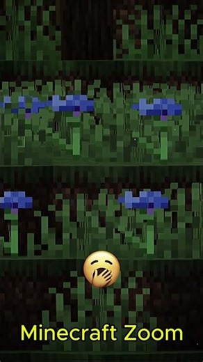 Minecraft Zoom #minecraft