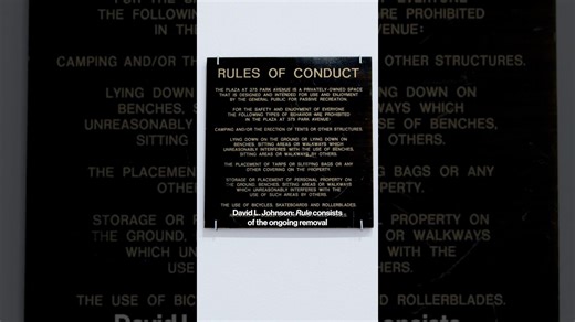 David L. Johnson | Audio Guide Teaser | Whitney Biennial 2026