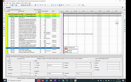 Project与P6软件对比