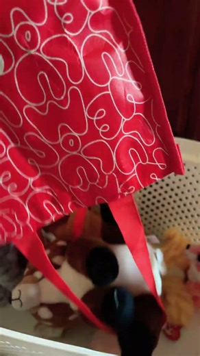 Beanie Boo Hunting 😁 #beanieboos #beaniebaby #shorts #fun #plushies #collectables @Adoptmeava10