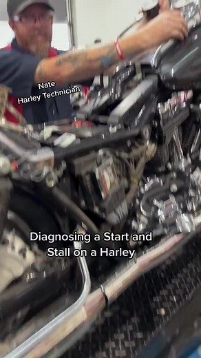 1.9K views · 12 reactions | Moramoto of Tampa Bay on Reels | Facebook