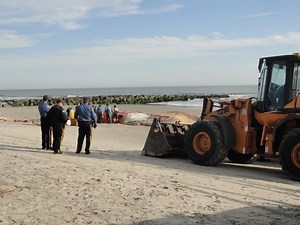 Ocean City Hauling Away Whale Carcass in Pieces