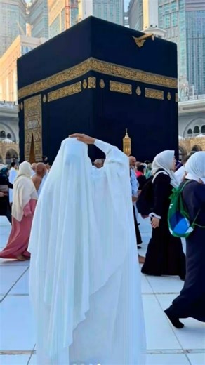 maawan karbala diyaa maawan new noha khwaja Ali kazim #newnoha #trendingshorts #viralvideo