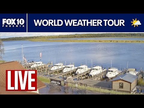 🔴LIVE WEBCAMS around the world | September 7