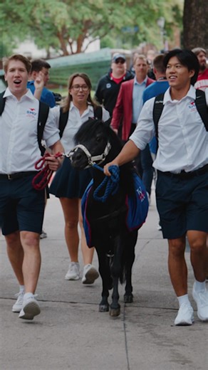 SMU Giving Day is just two days away! Last year’s donations helped care for our live mascot, Peruna, supporting his handlers with new uniforms and a brand-new trailer to keep this long-standing tradition running strong. You can be part of it on March 11! Find your cause at smu.edu/givingday! 💙🐎 #smu #fyp #dallas #college #trending