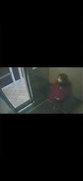 The Elisa Lam Elevator Mystery
