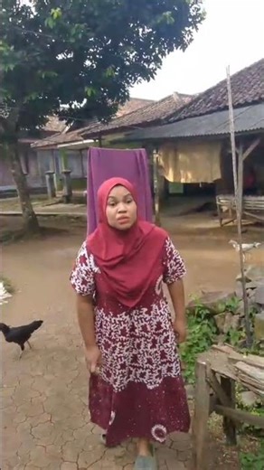 kucing berantem sama sapi #shorts