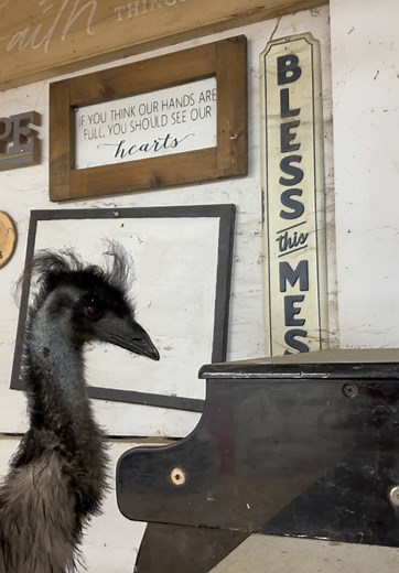 EMUsic concert series