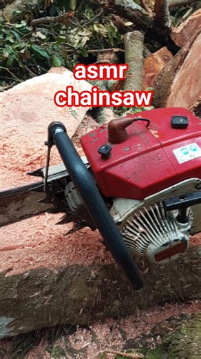 asmr chainsaw sounds #asmr #asmrcutting #asmrchainsaw #stihlchainsaw #woodworking #viral #shorts