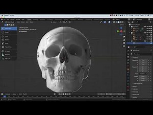 Modeling a human skull in Blender 3