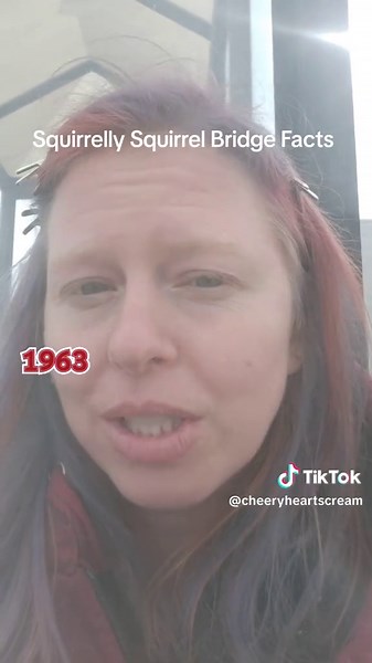 Squirrelly Squirrel Bridge Facts in Longview