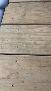259K views · 1.5K reactions | Here’s how to know whether your deck is ready to be stained. #fyp #fypシ #DIY #deck #stain #decking #construction #build #framing #wood #Home #pass #fail #paint #water #pool #wow #inspectedaccepted #inspectedrejected #inspectiontherapy #homeinspection #realestate | Inspection Therapy | Facebook