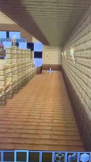 Stampy’s lovely world dog area