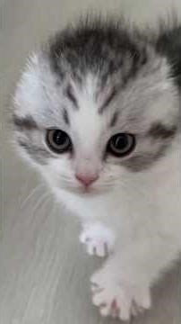 He Waits Until I Blink Then Attacks!