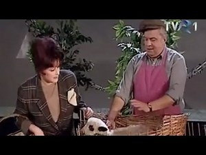 Stela Popescu şi Alexandru Arşinel - Cât dai mielul?