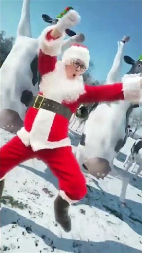 Christmas Cow dance