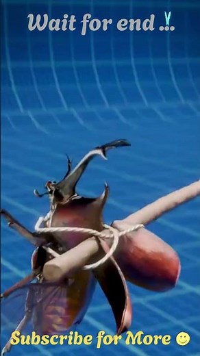 🪲 Tiny Insect Helicopter Experiment 😳 #WeirdFacts #Science #Invention