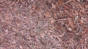 Solid fuel storage bin. Fuel storage bunker. Piles of wood chips in storage. Wood chips for a biomass combustion